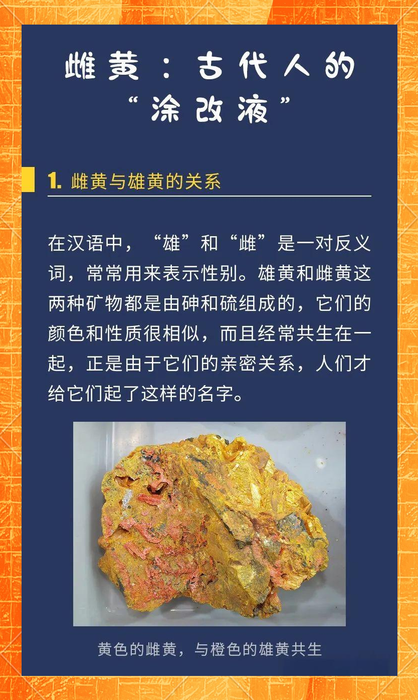 雌黄蚂蚁庄园的奇妙世界-第2张图片