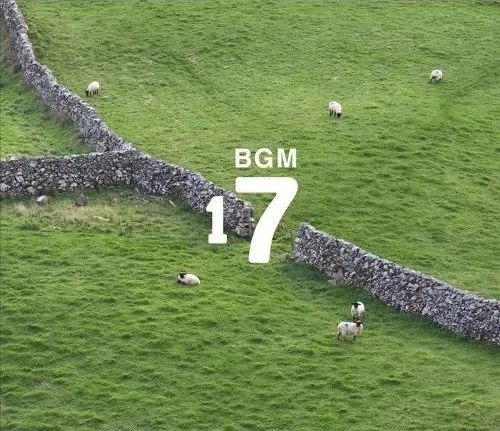 中国老人在线观看的BGMBGMBGM现象，一种文化与技术的融合