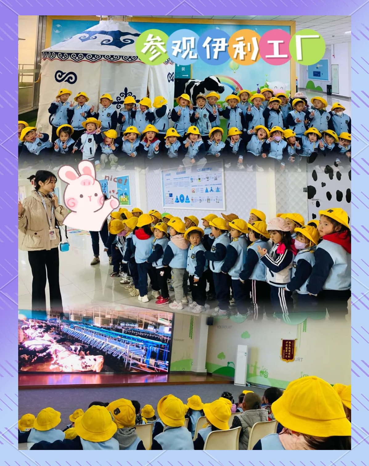 如何理解并实践自我牛奶生产的奇妙之旅-第2张图片