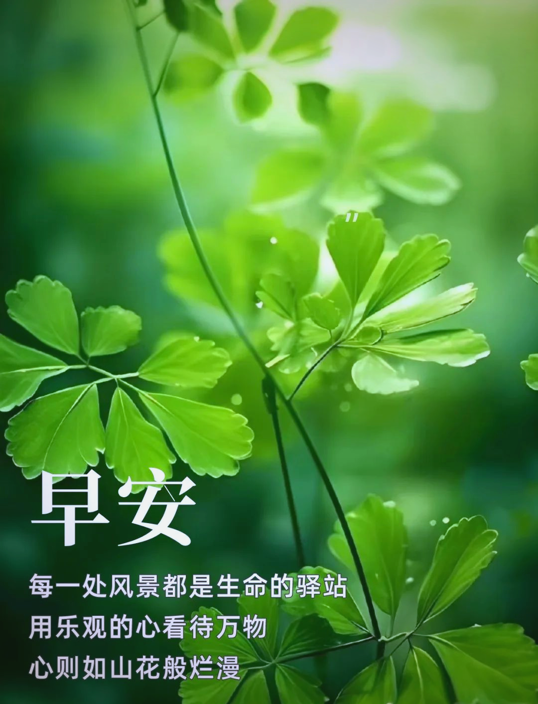 免费正能量网站大全，点亮生活的阳光源泉-第2张图片