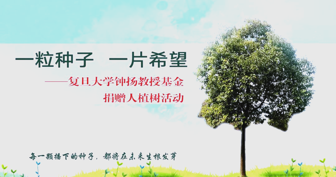 种子在线，农业科技的未来与希望-第3张图片