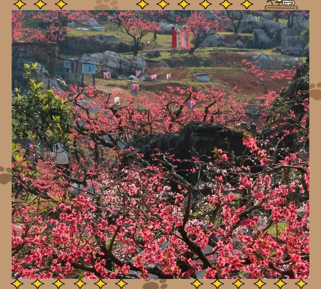 桃花视频在线观看完整桃花视频在线观看完整，一场视觉与心灵的盛宴