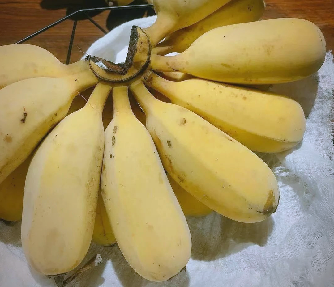 精品香蕉在线观看视频探索精品香蕉在线观看视频的魅力