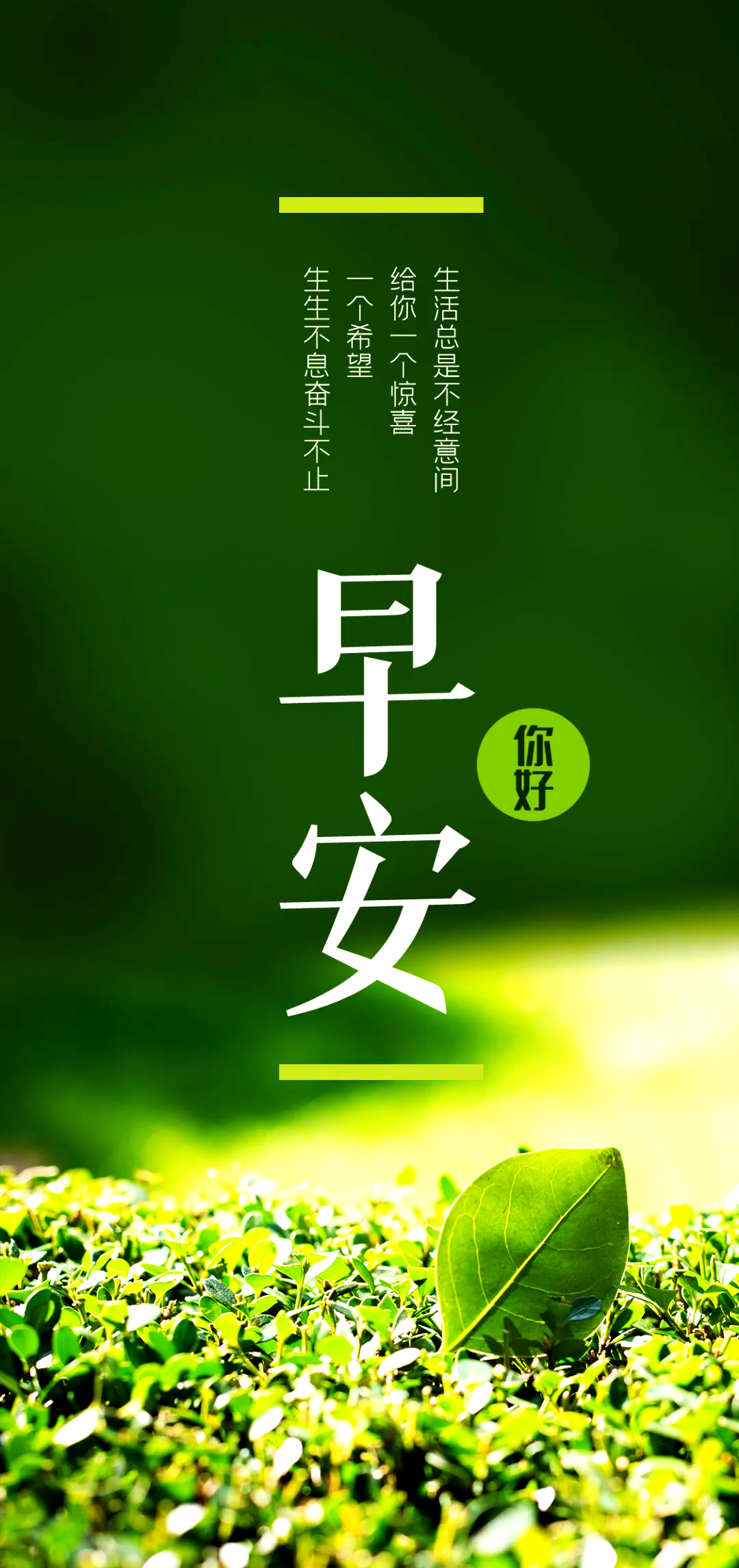免费的正能量，点亮生活的WWW正能量-第1张图片
