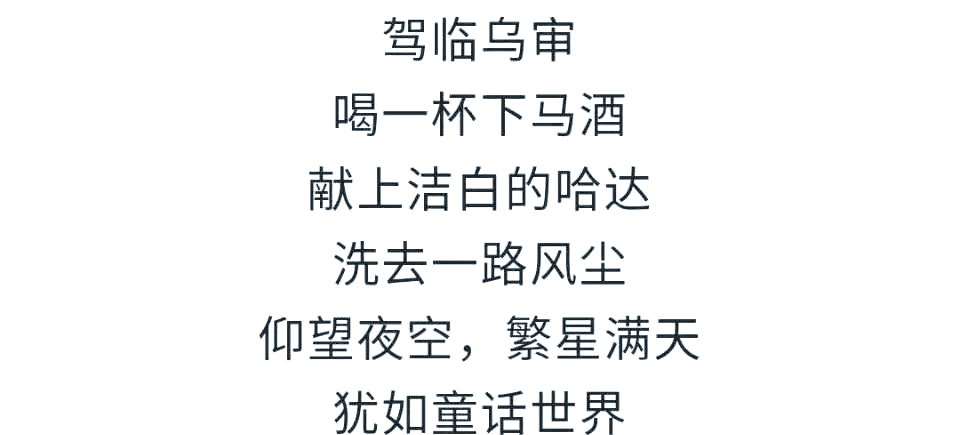四虎永久地域网名背后的文化与时代印记