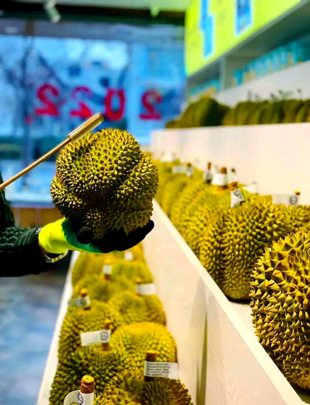 靠比较软件下载app榴莲比较软件与短视频软件大全，榴莲的独特魅力