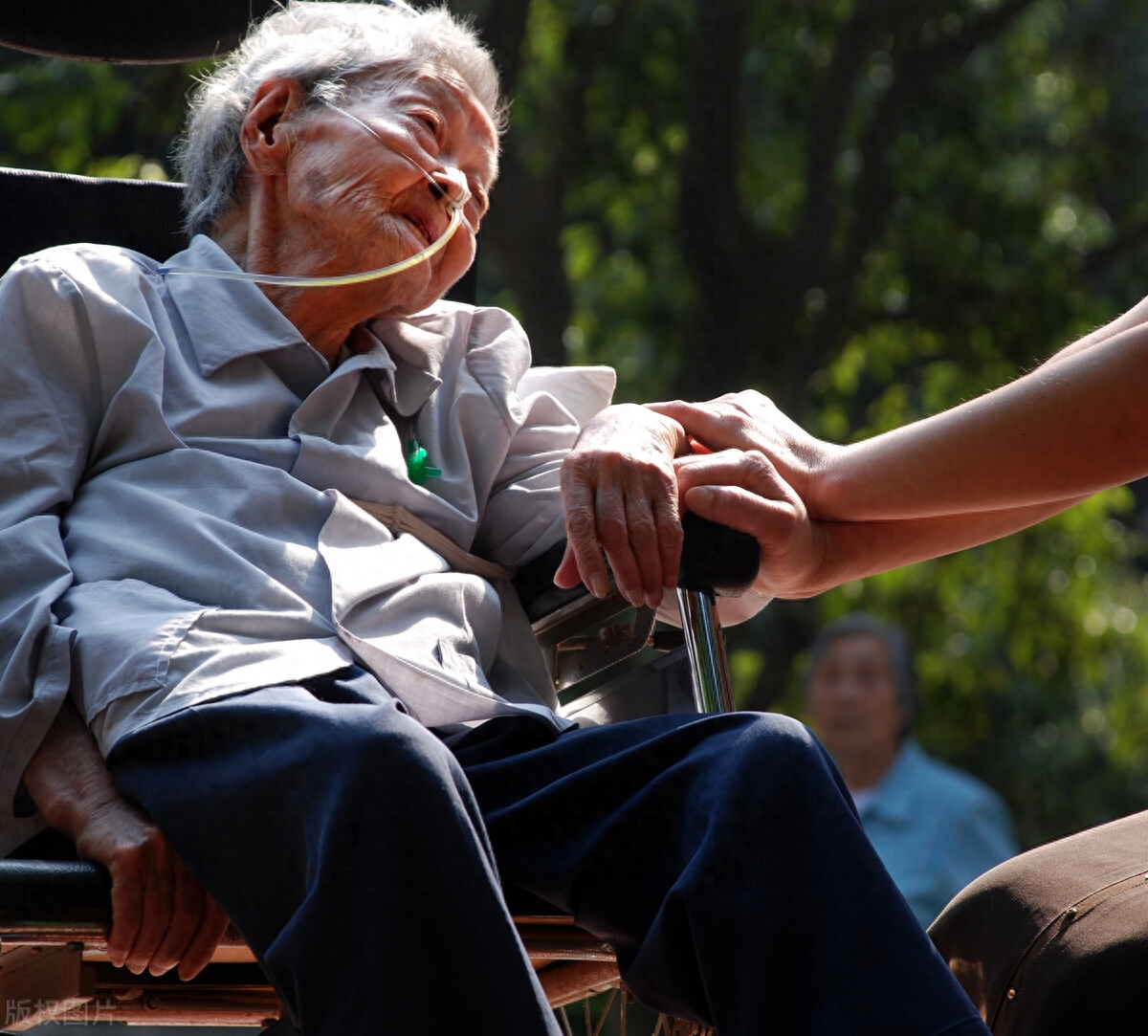 东北老太太话多中国东北老太婆的独特魅力——内谢的魅力与故事-第2张图片