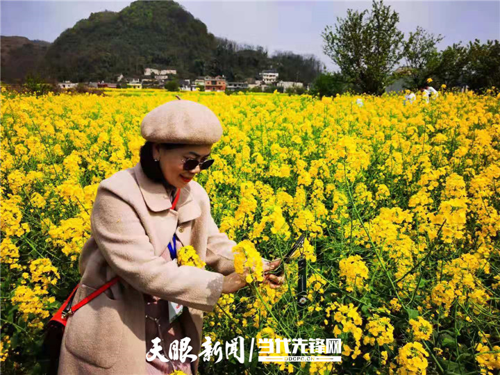 大地资源在线资源官网免费大地资源在线资源官网，引领资源获取新时代的门户-第2张图片