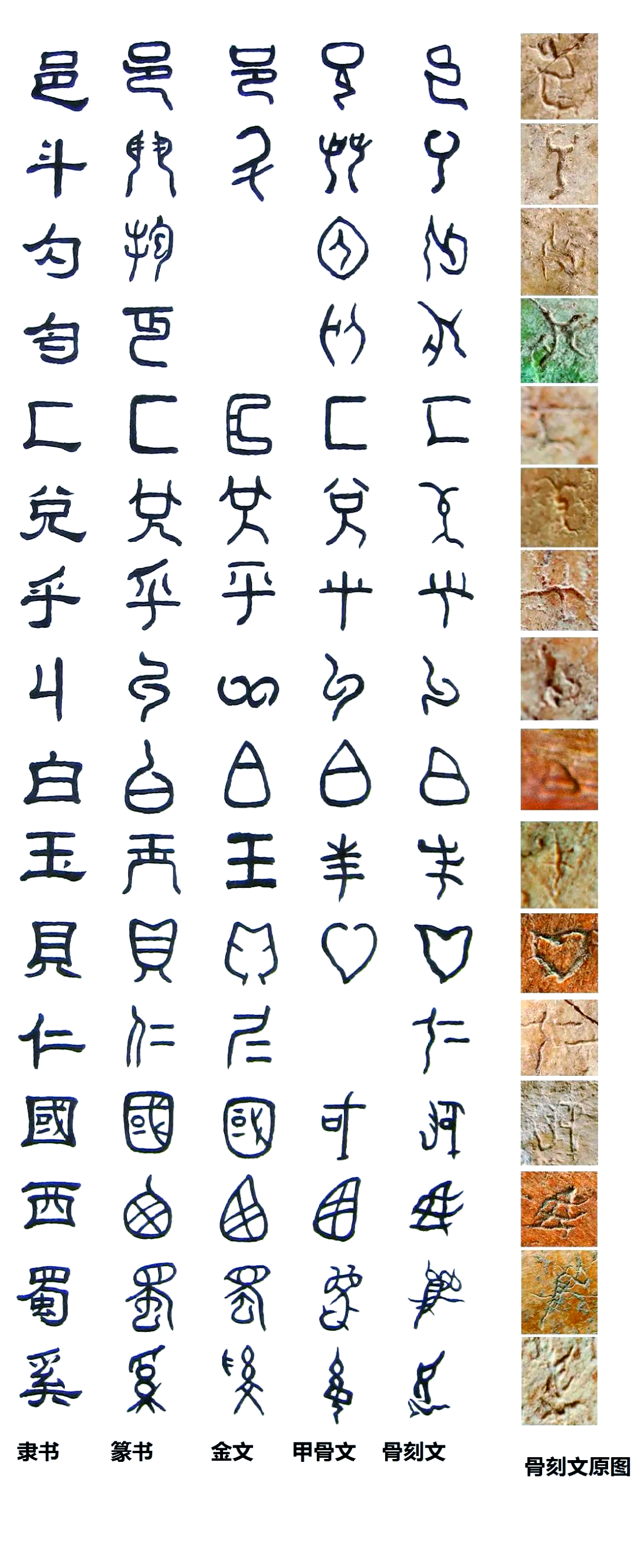 汉字词典——中华文化的瑰宝