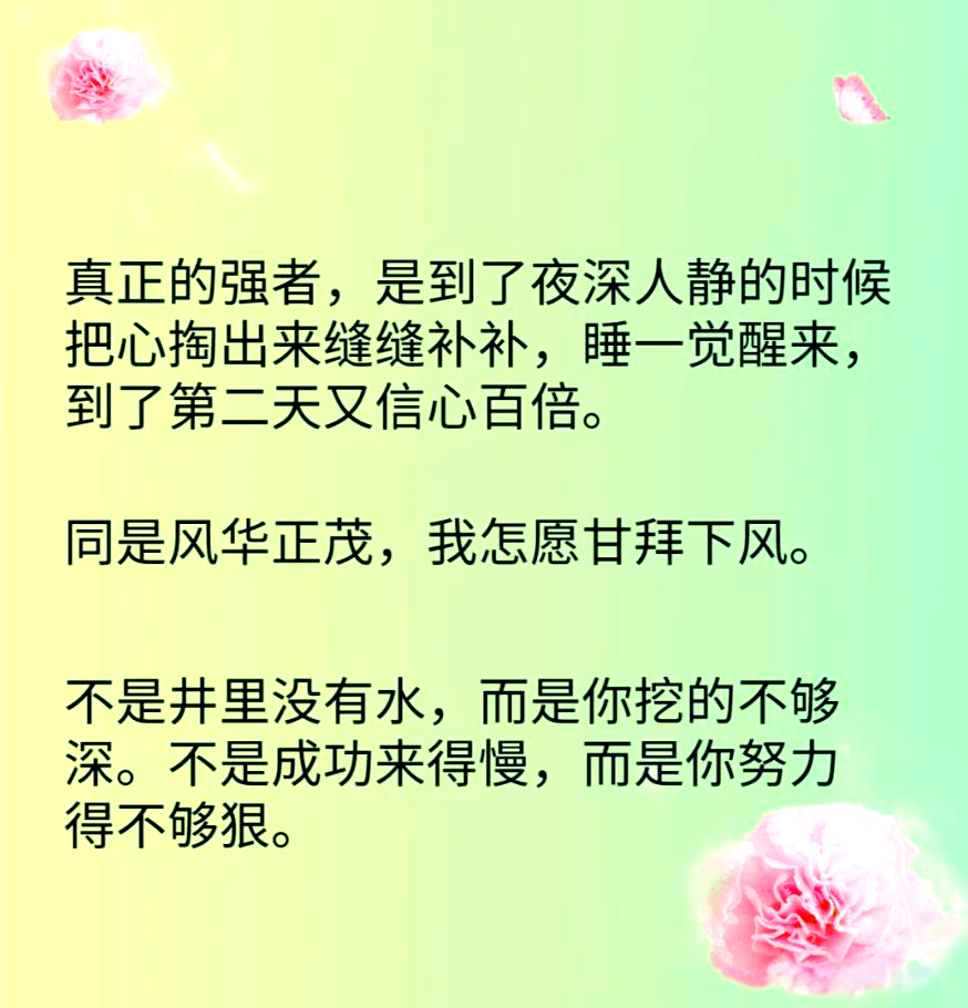 夜间正能量网站入口夜间正能量，照亮你心灵的网站入口