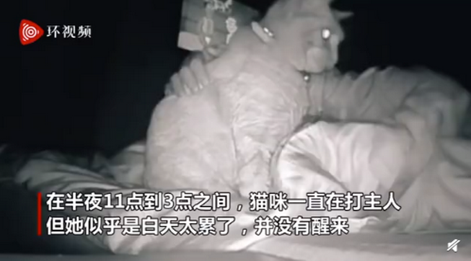 四根一起会坏掉的娇花四根同时使用可能带来的严重后果——以视频为视角的探讨-第1张图片