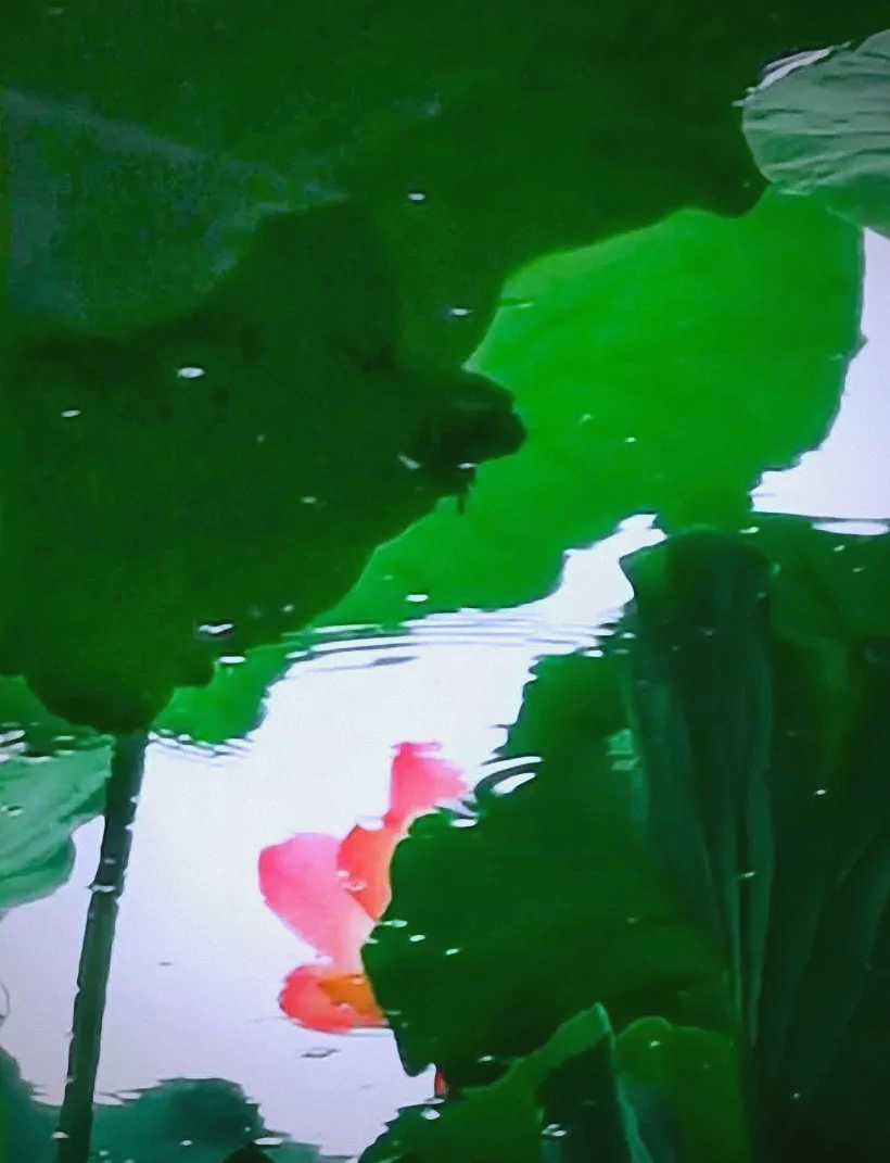 婷婷之美的艺术探索-第3张图片
