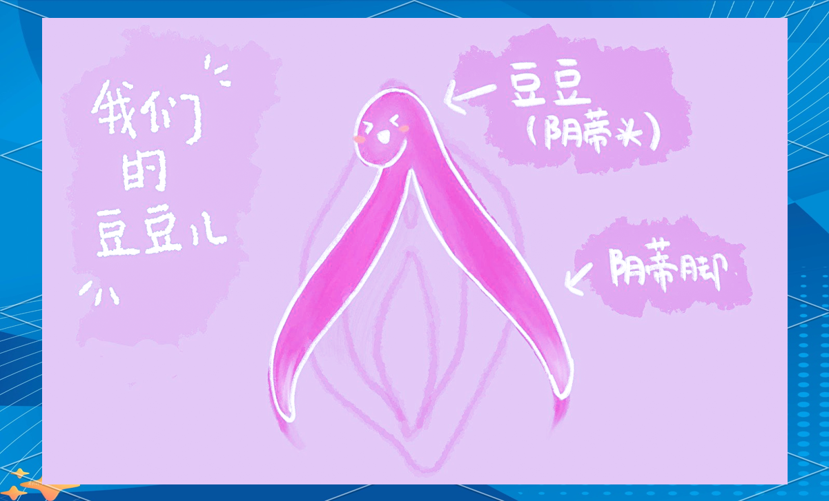 探索女性私密部位——大荫蒂的独特魅力