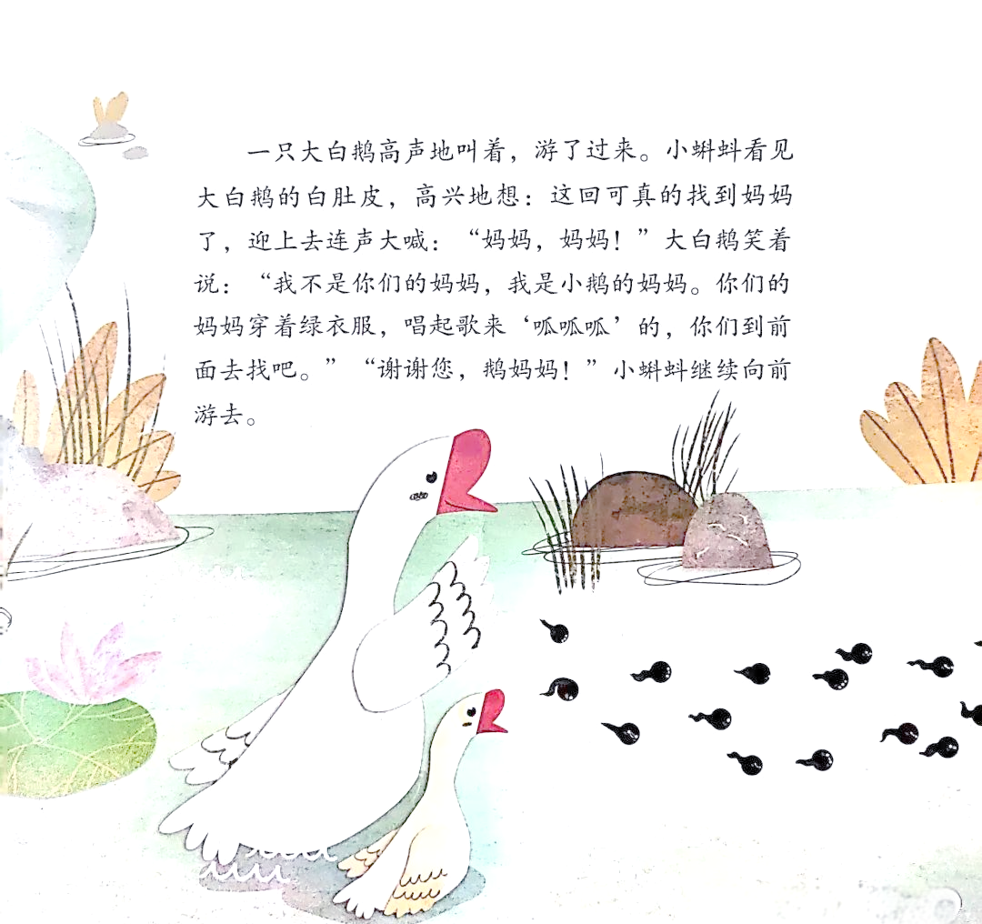 小蝌蚪免费观看在线视频，探索与乐趣的奇妙旅程