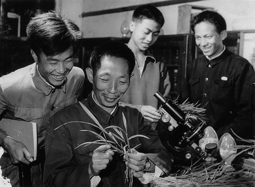 同学们的大杂交同学们的大杂交——一次难忘的校园活动