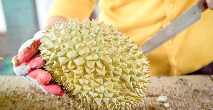 豆奶短视屏富二代f2下载豆奶与水果的奇妙邂逅——富二代的健康生活与榴莲草莓丝瓜的秘密-第3张图片