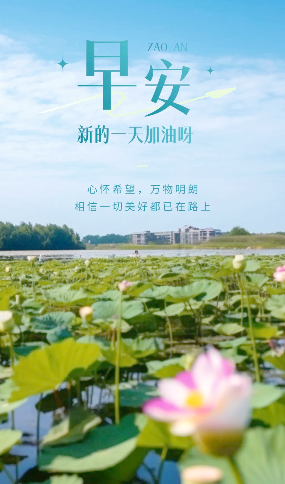 免费正能量网站链接下载免费正能量网站链接，点亮生活的阳光源泉