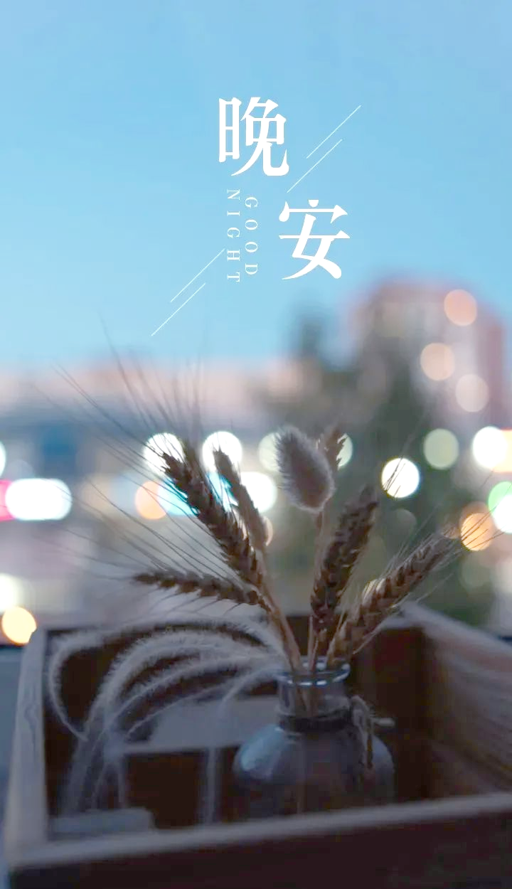 夜间正能量网站夜间正能量网站，照亮你夜晚的温暖之光-第3张图片