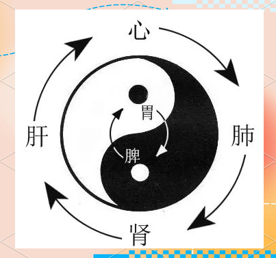马和马胶配方的视频马与马胶配方的奥秘——一次深入探索的视频之旅-第2张图片