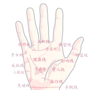 生命线 攻略生命线攻略，探索与成长之路