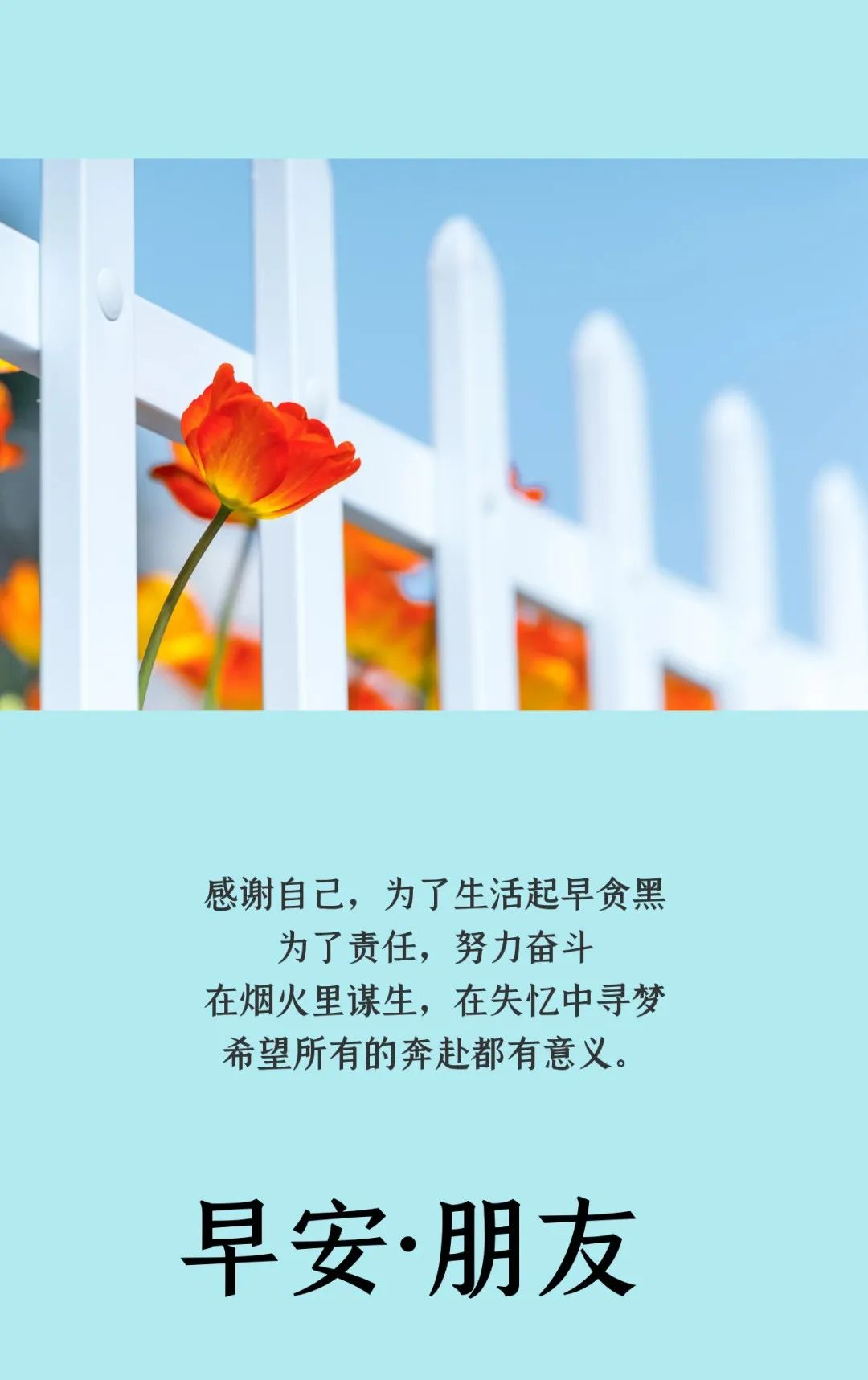 免费的正能量WWW正能量免费的正能量，点亮生活的WWW正能量-第2张图片