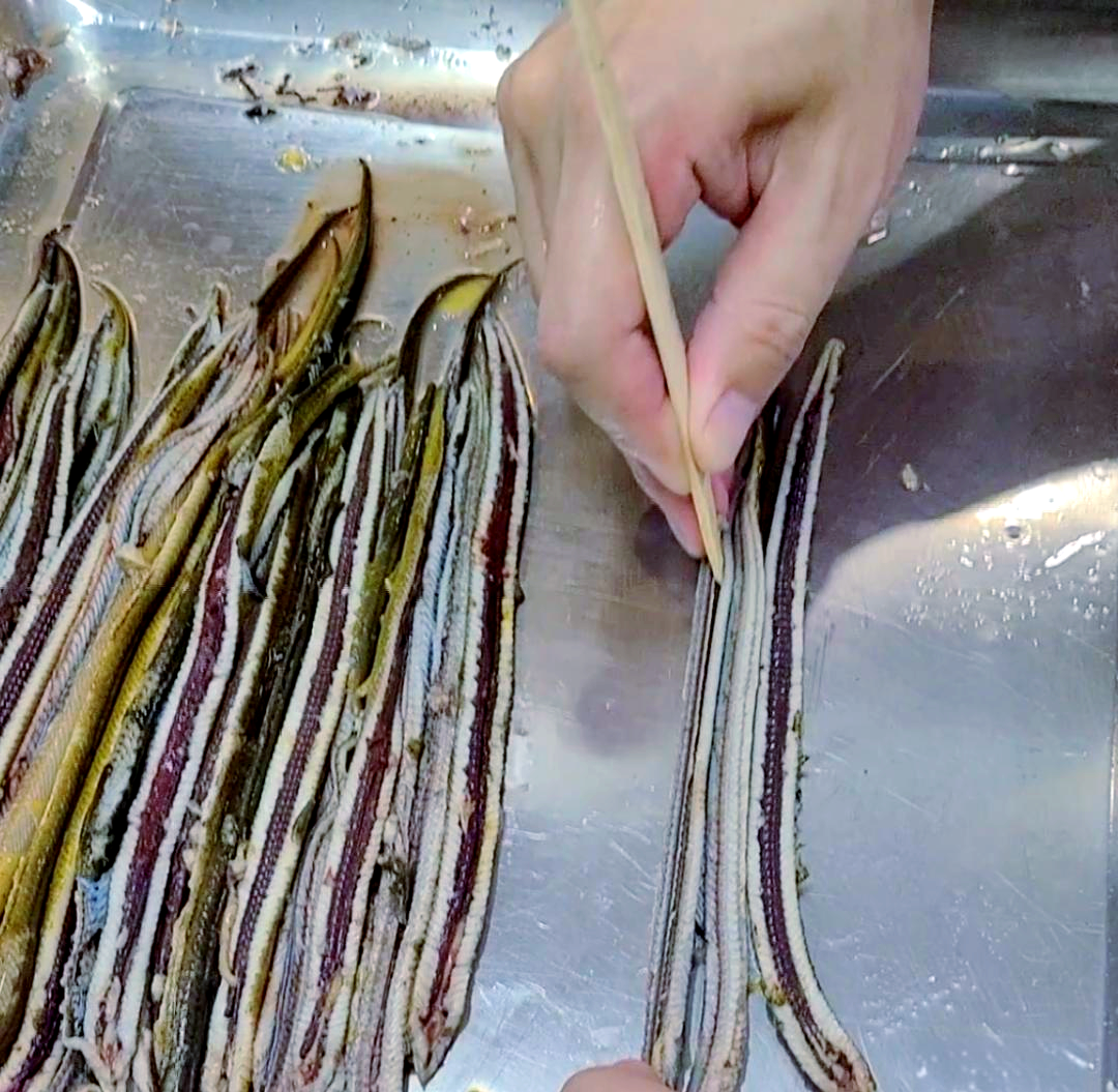 主播玩黄鳝主播的独特体验，探索黄鳝的魅力