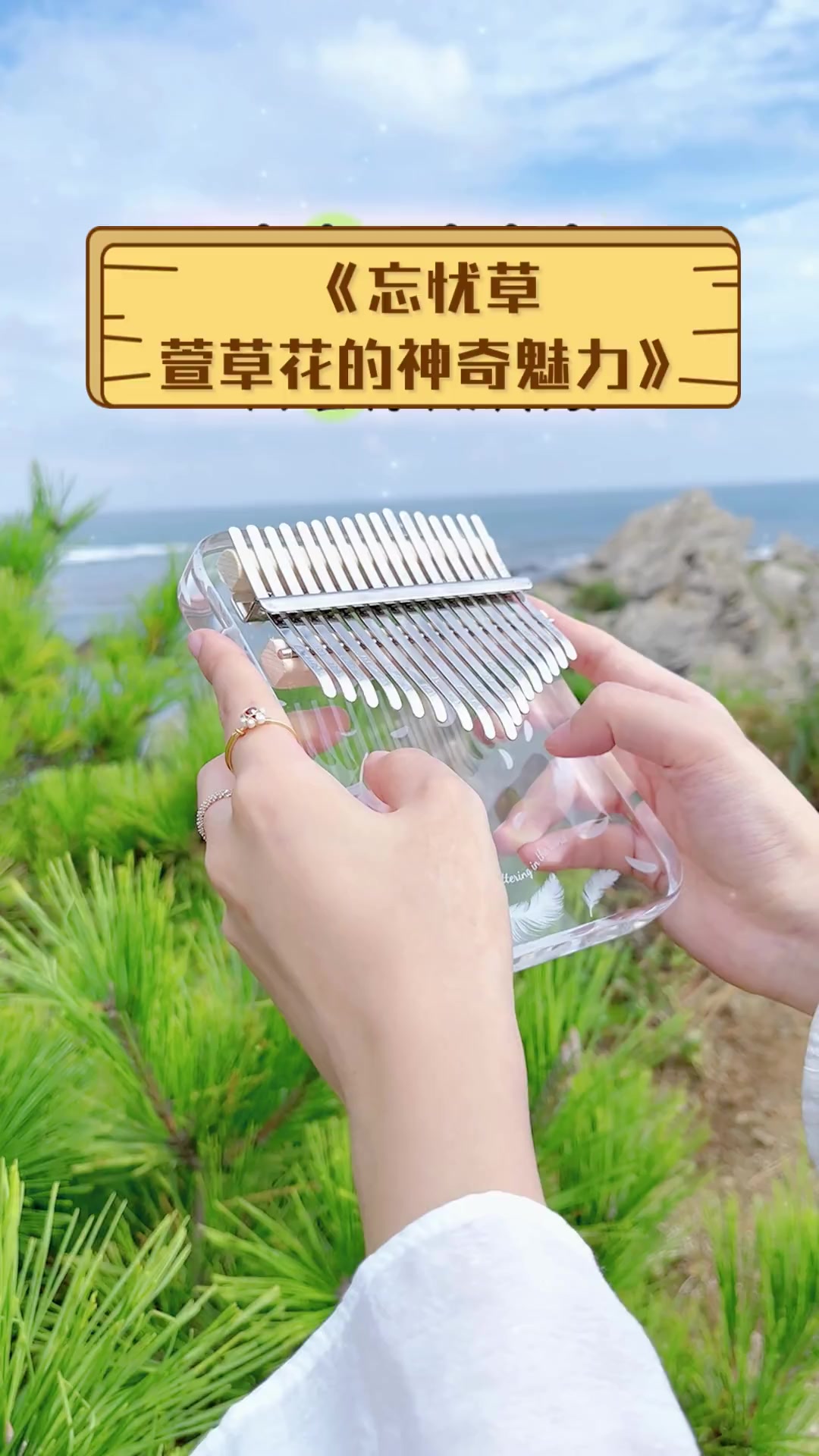 忘忧草，探索WWW资源