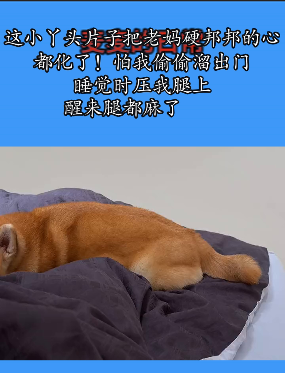 睡觉感觉有个东西撞我身体里梦中异感，睡觉时感觉有个东西撞我身体里-第1张图片