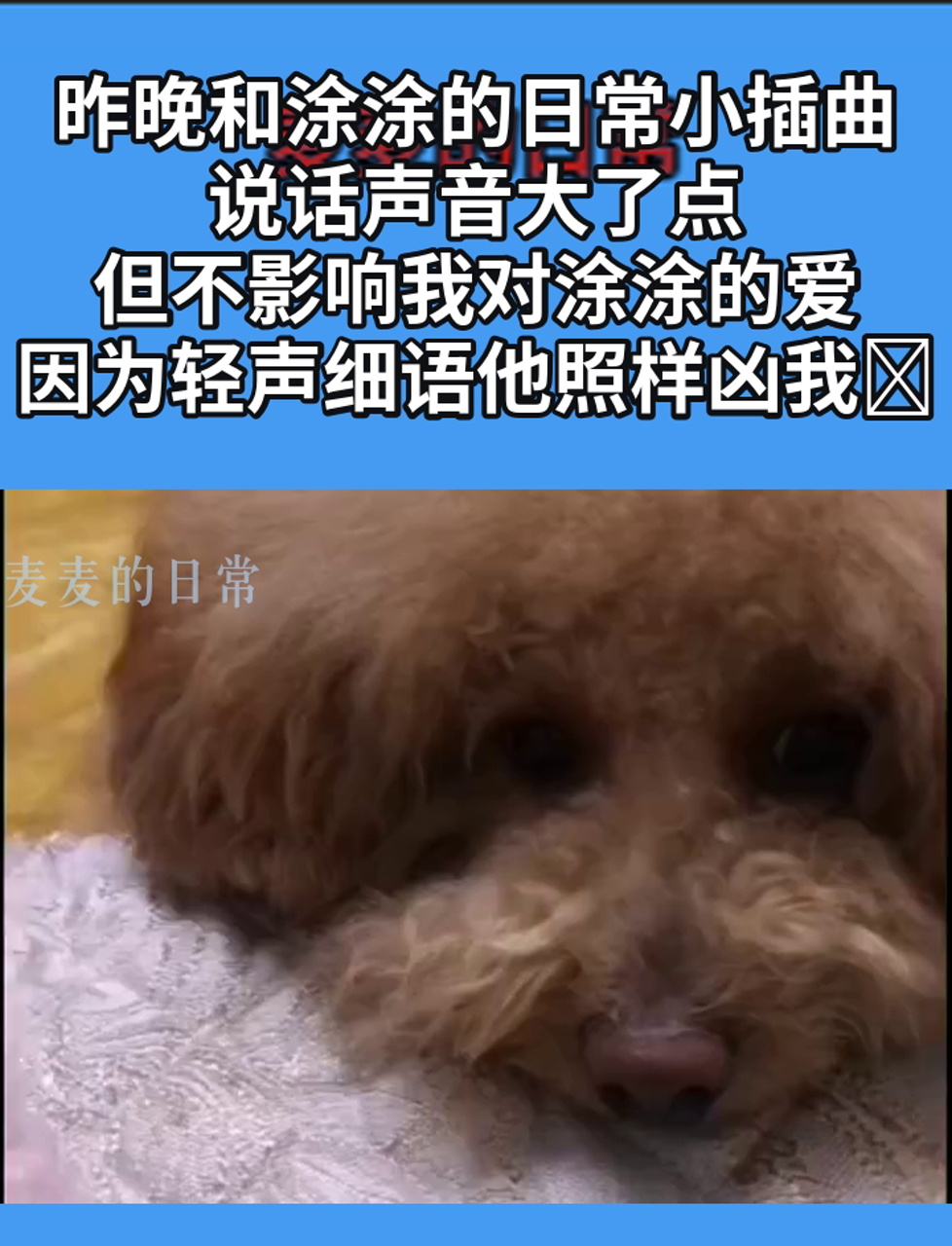 我家狗狗弄了我4个多小时的狗狗我家狗狗的小插曲，四小时的陪伴与惊喜