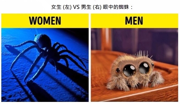 不一样的世界，不一样的我们-第2张图片