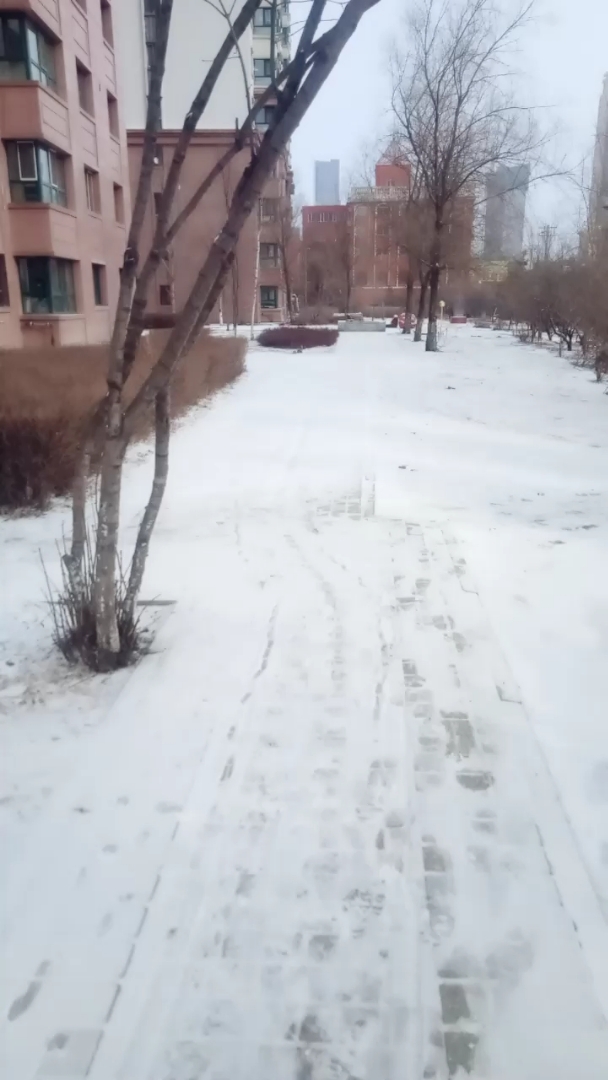 小雪 大学小雪的魅力，丰满之美与愉悦体验