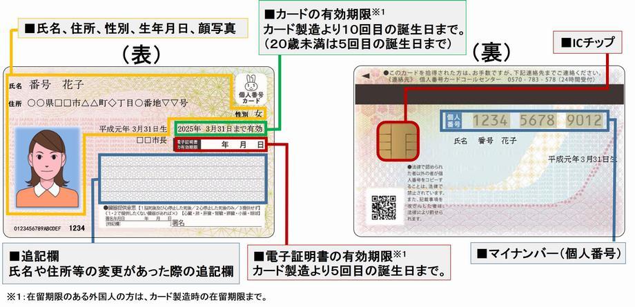 在线精品一卡二卡三卡精品卡1卡2卡3乱码现象的全面解析-第3张图片