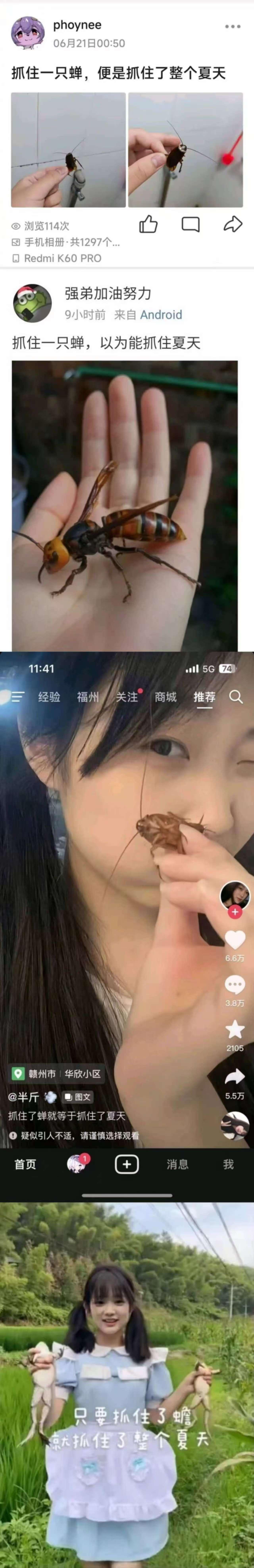 17CCC吃瓜爆料-免费吃瓜17CCC吃瓜爆料，带你免费畅享瓜田乐趣-第1张图片