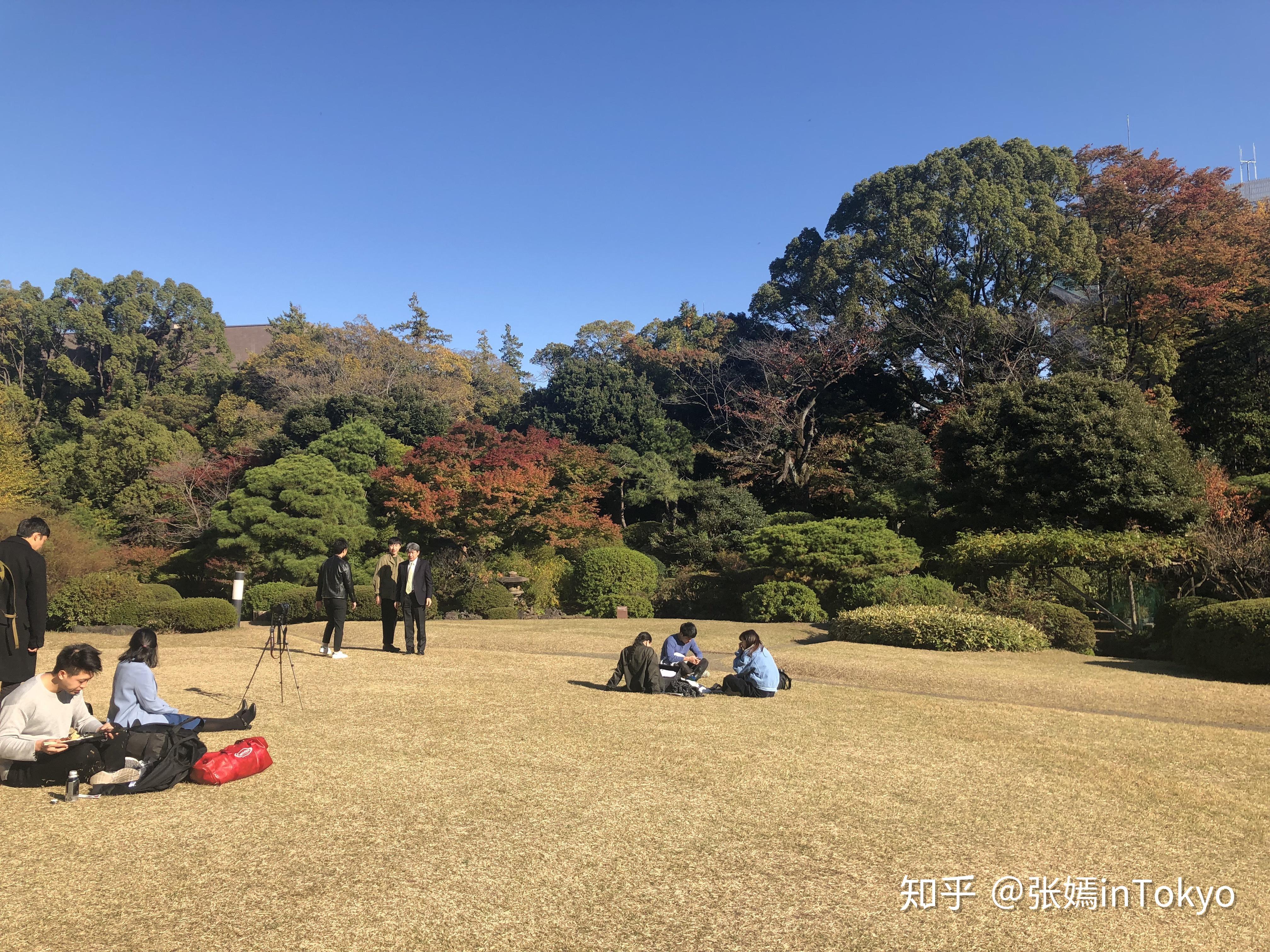 三个人一起做过的感受知乎视频在哪里找三人同行，共筑回忆——知乎视频分享体验记