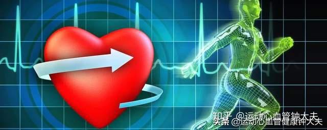 多人运动免费正能量网站小说探索免费多人运动正能量网站，共享健康与快乐-第2张图片