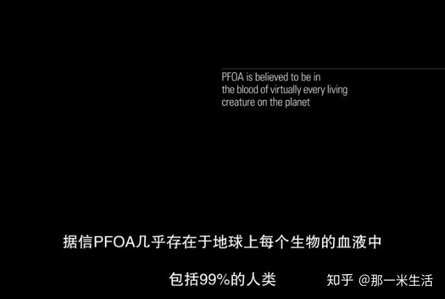 近期中文影片字幕的缺失现象分析-第3张图片