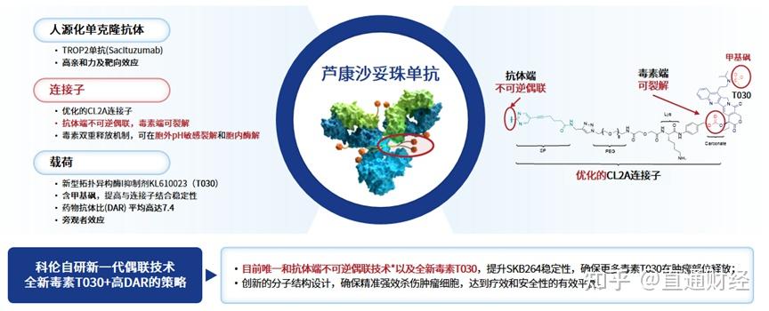 ADC在线平台年龄确认机制的重要性与实践