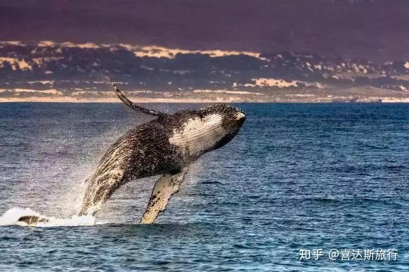 海角精产国品一二三的探索与理解-第2张图片