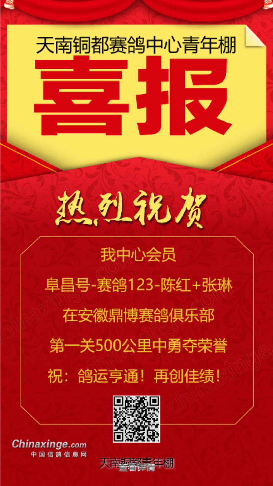 天南铜都赛鸽中心秋棚青年棚——飞翔的青春与荣耀的舞台-第3张图片