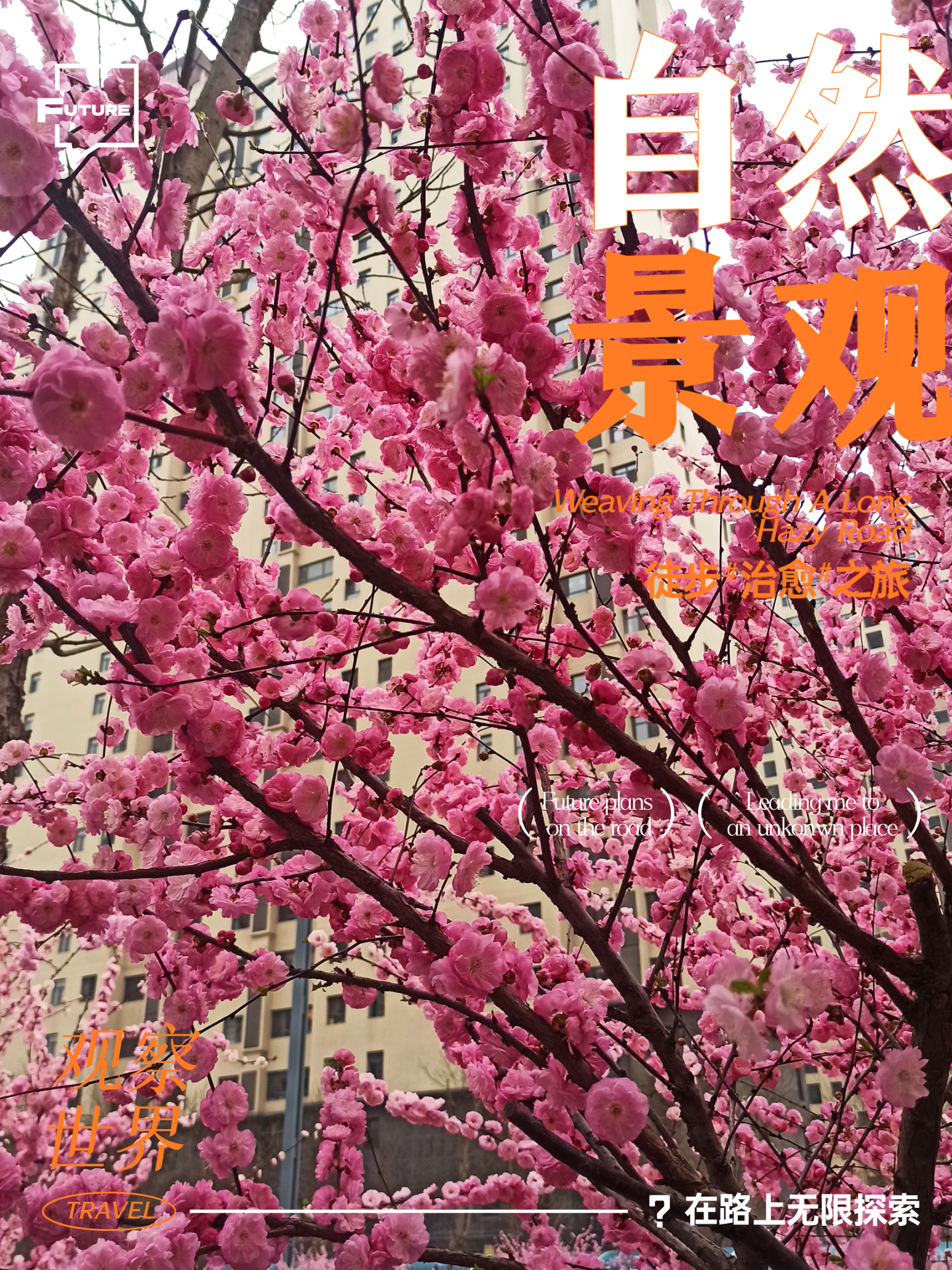 向日葵视频网站打开入口，探索无限精彩的网络世界