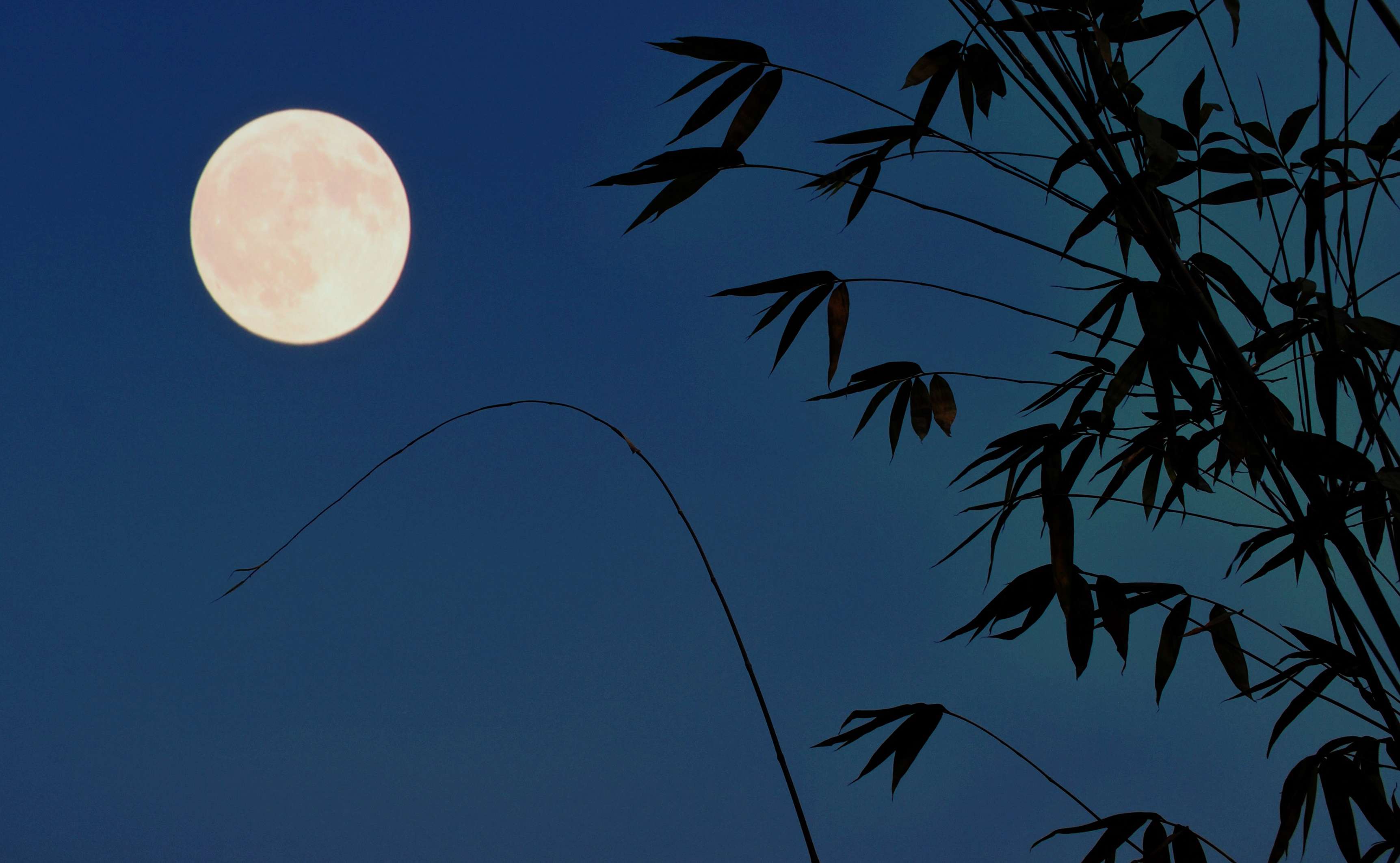 夜月YY66TV夜月下的YY66TV，梦幻与真实的交织