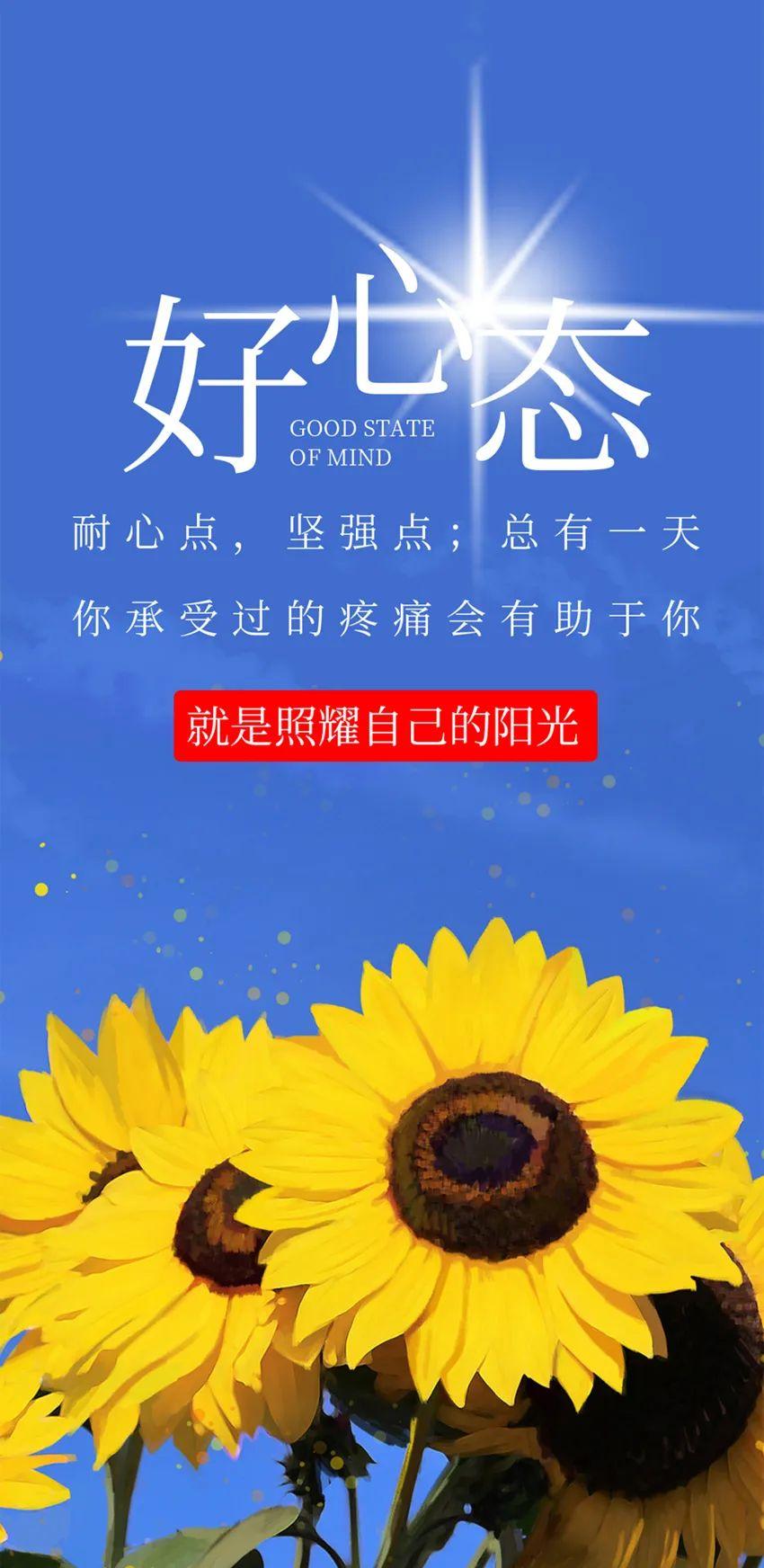 免费网站正能量，你懂我意思的探索与体验-第1张图片