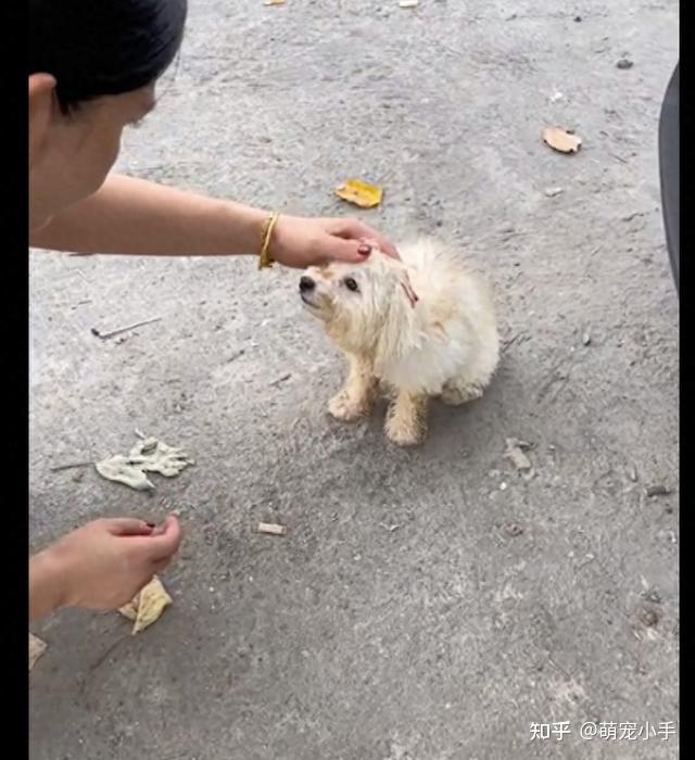 它变大了你感觉到了吗同学同学，你感受到了它的变化吗？-第2张图片