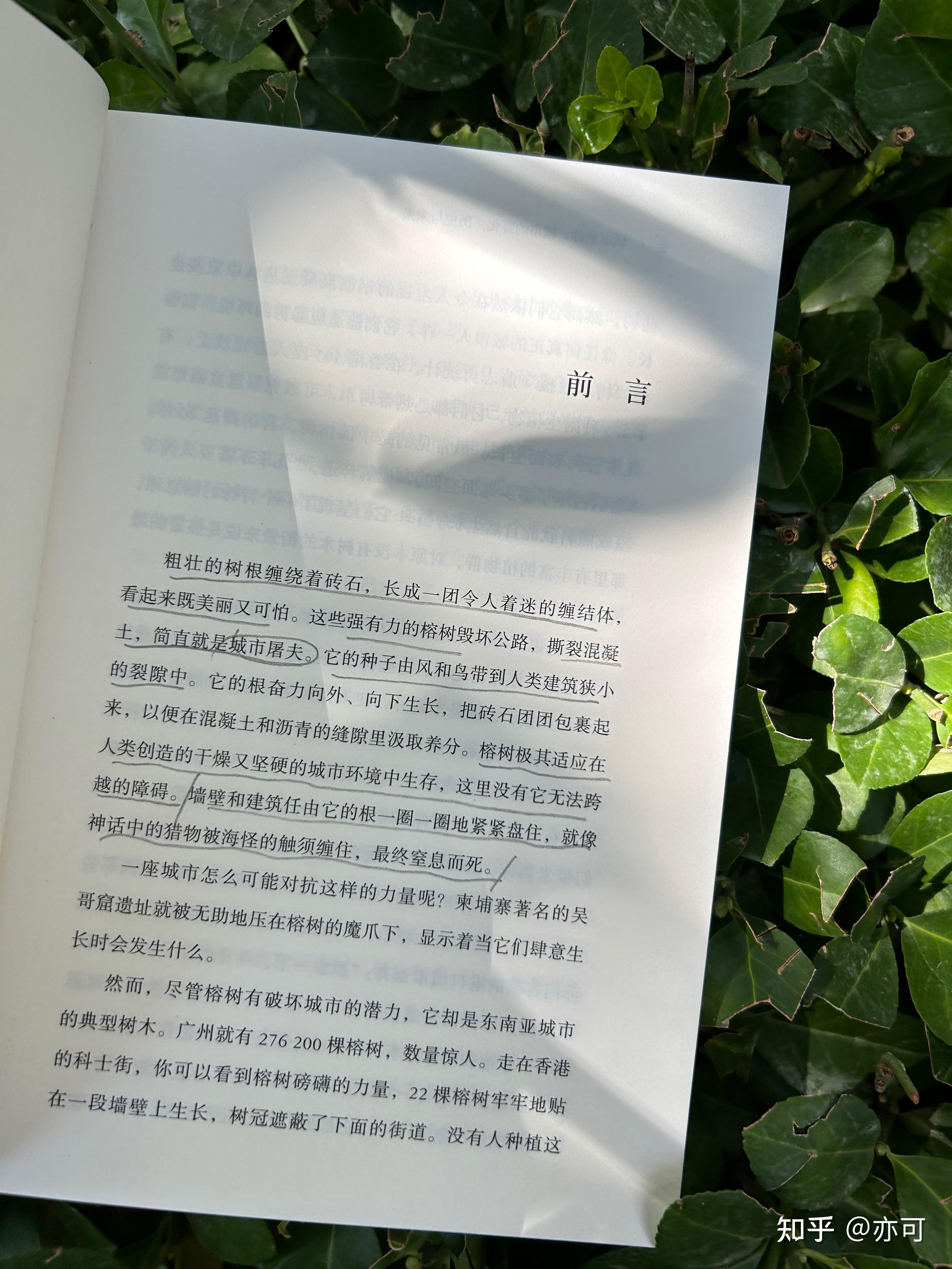 视野宏阔视野宏——探索无限的可能-第2张图片