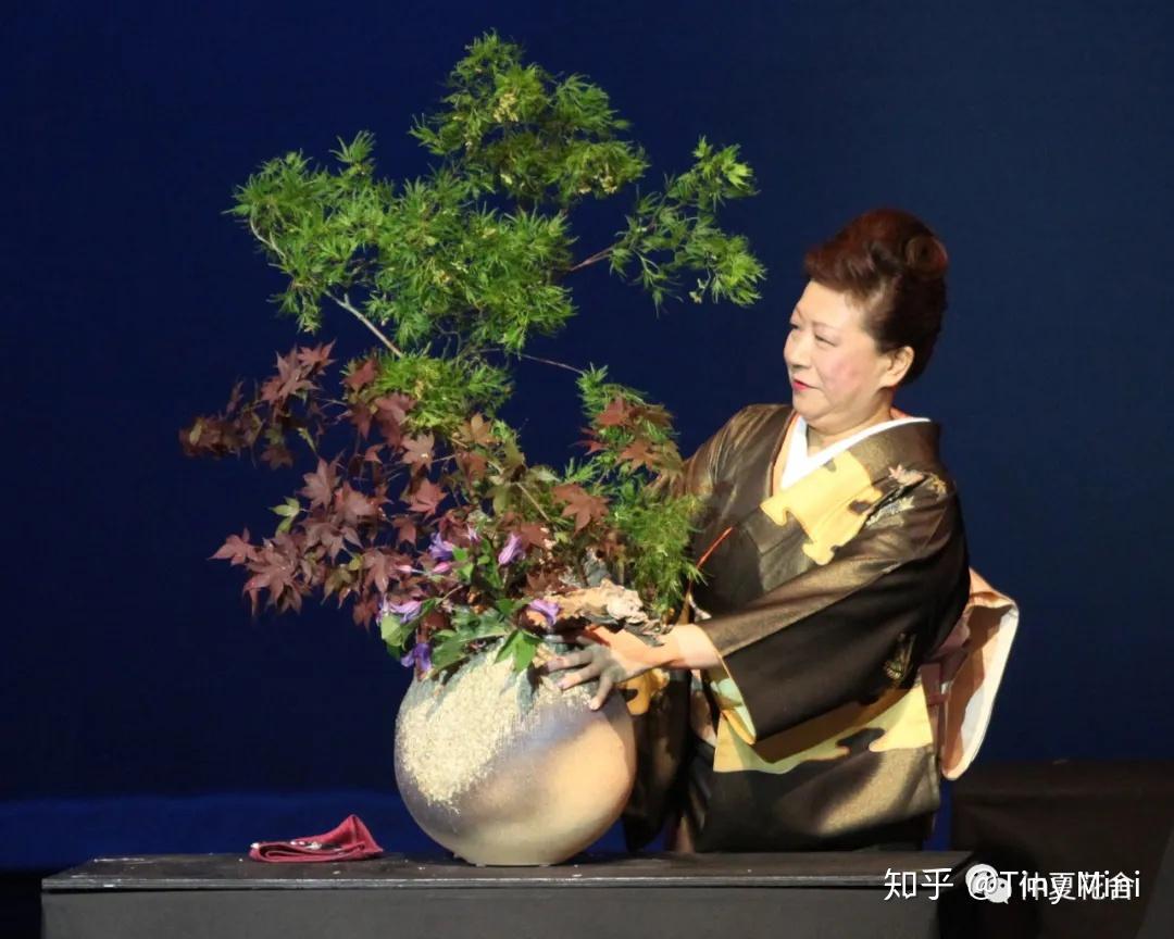 日本草草视频，探索其背后的文化与现象-第2张图片