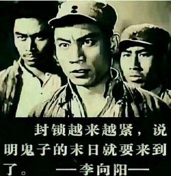 男人与母猪交，荒诞背后的社会与心理思考-第3张图片