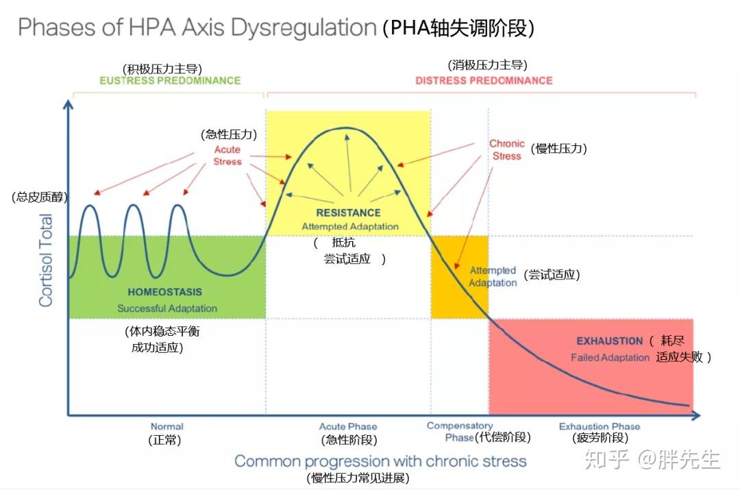 欧美肠交欧美肠交，一种文化与健康交织的探索-第2张图片