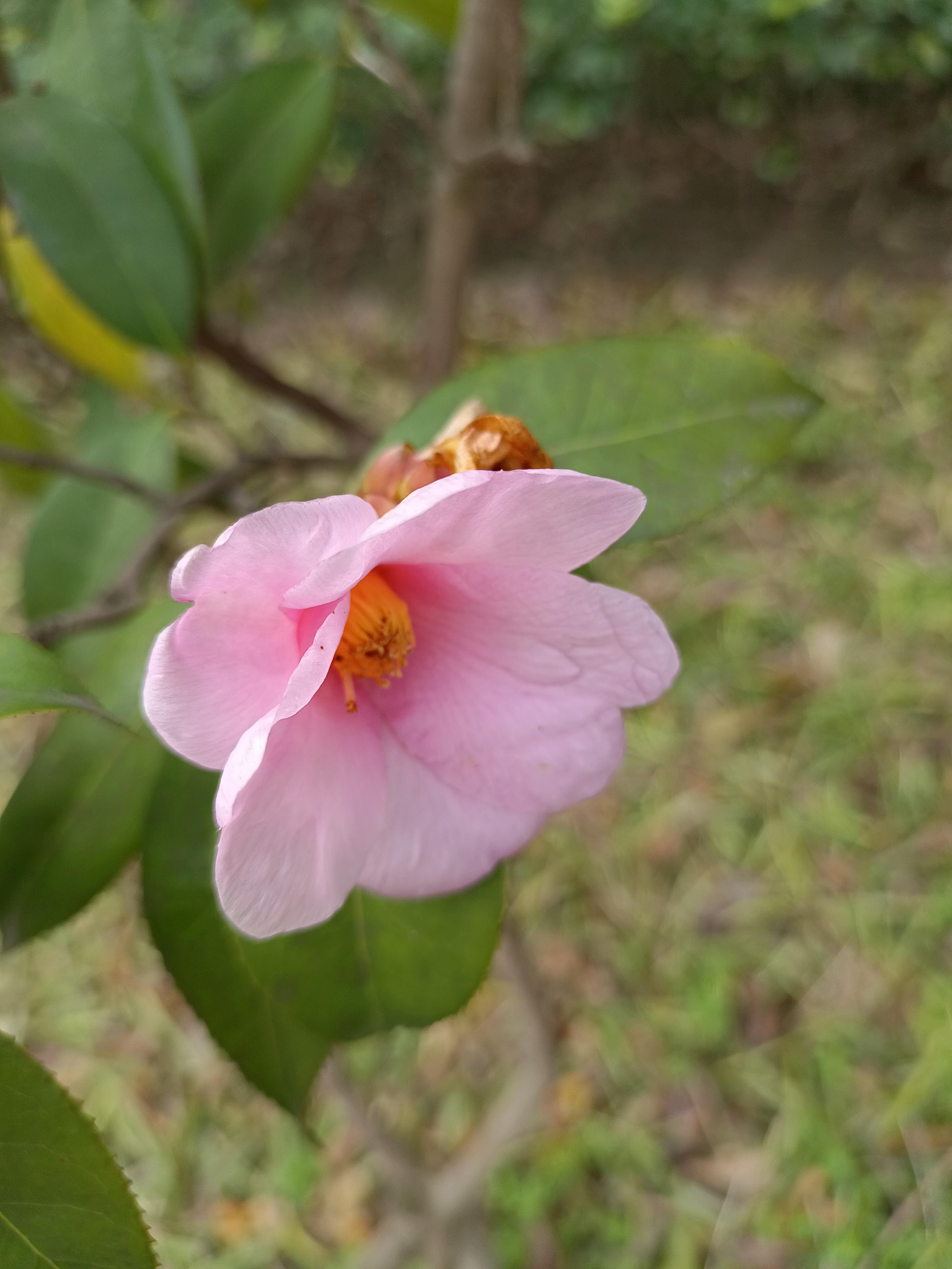 春暖花开x吧有你春暖花开，吧里有你的温暖