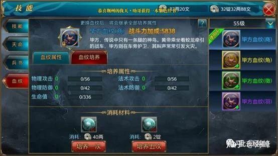 御龙在天副将装备御龙在天，副将装备的奥秘与重要性-第2张图片
