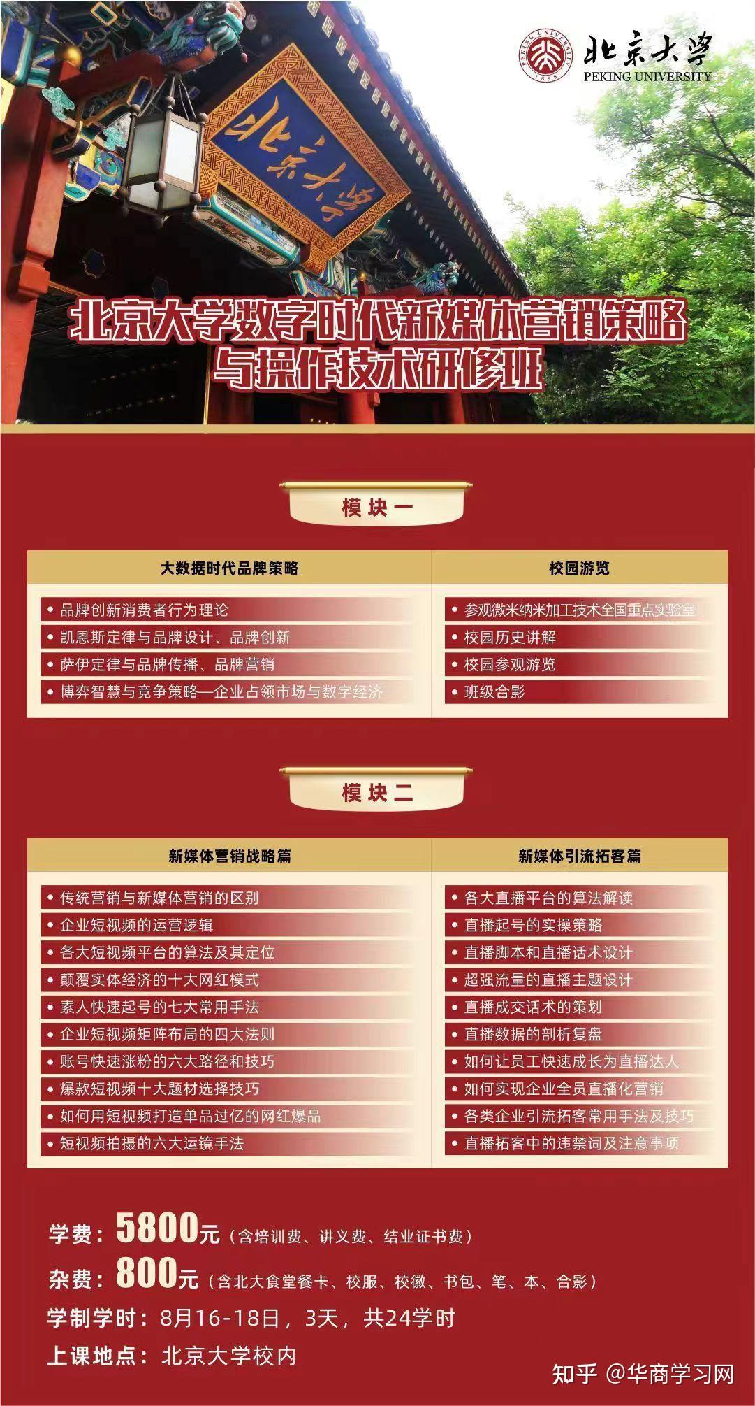 8050网，引领数字时代的网络新篇章-第2张图片
